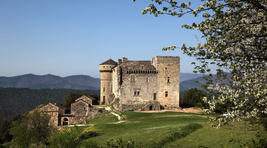 Accueil 8 Le chateau dAujac sur eperon barre